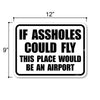 If Assholes Could Fly this Place Would be an Airport, 12 inch by 9 inch, Metal Wall Signs for Home Decor, Funny Decor